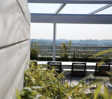 Dakterras + 300m2 - ontwerp en realisatie - hardhouten constructies plantenbakken wellness verlichting en beplantingen