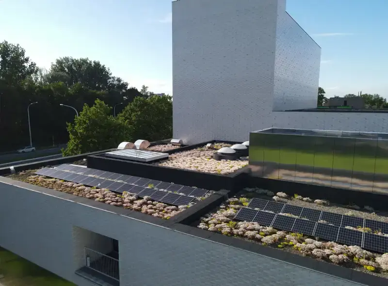 Extensief groendak 