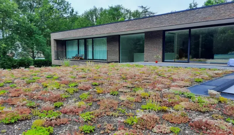 Extensief groendak