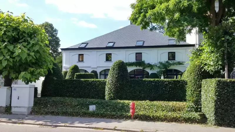 snoeiwerk