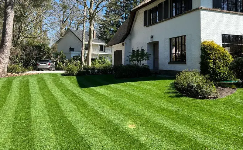 Grasmatten en nieuwe beplanting