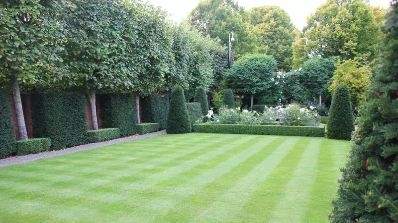Tuin onderhoud 1