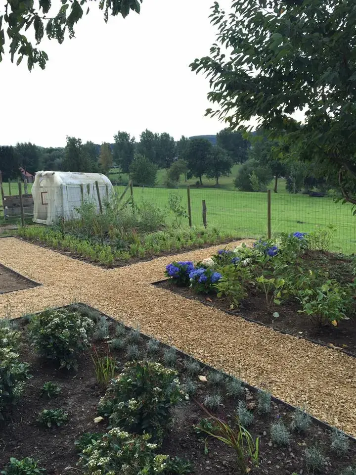 Aanleg van pad en aanplanten borders. #tuinaanleg