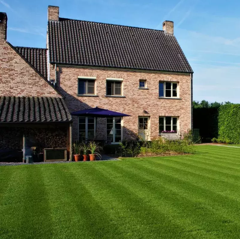 Aanleg gazon en aanplanting rondom terras