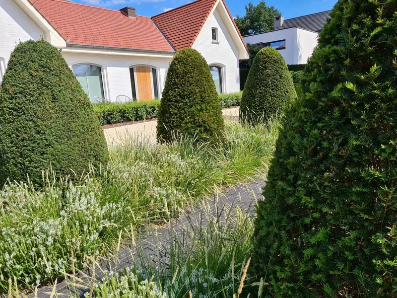Voortuin in het groen