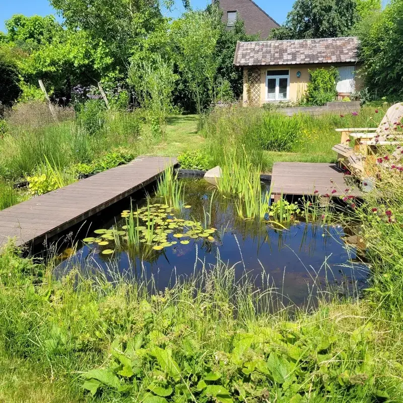 Deze vijver in Schilde is een hotspot van biodiversiteit