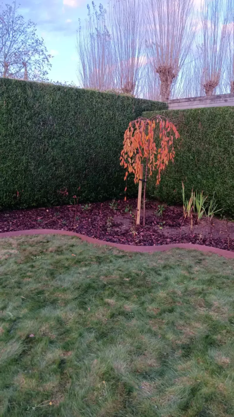 Aanleg tuin + kiezen van de planten 