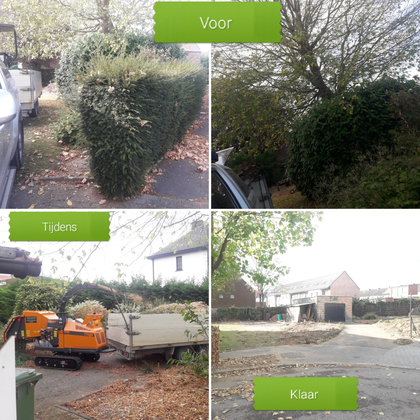 Leegmaken tuin verwijderen van bomen hagen struiken