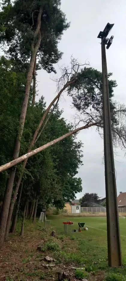 Verwijderen van een omgevallen boom door de storm