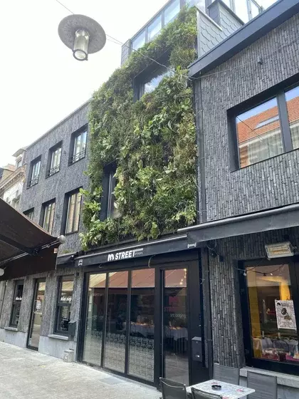 De groengevel van Libertad in Leuven